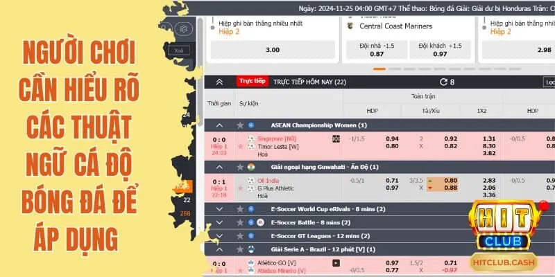 Người chơi cần hiểu rõ các thuật ngữ cá độ bóng đá để áp dụng