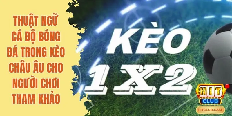 Các định nghĩa trong cá độ bóng đá rất cơ bản, dễ hiểu, dễ nhớ