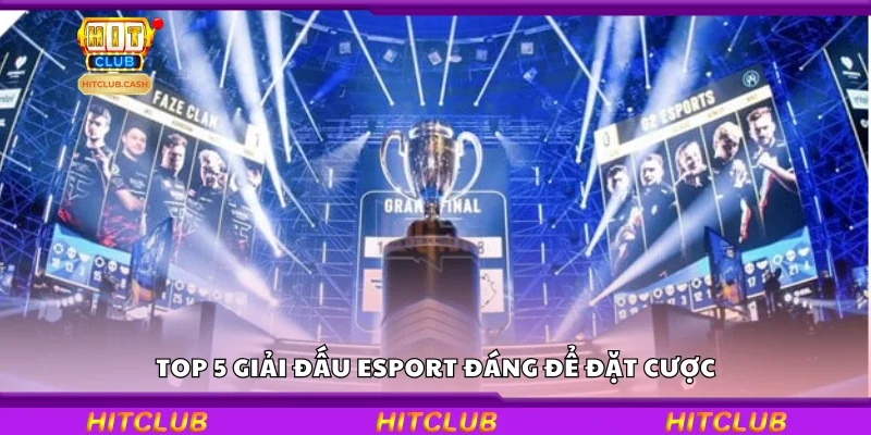 Top 5 giải đấu Esport đáng để đặt cược